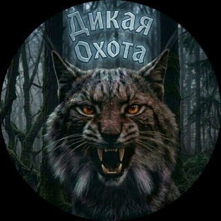 Дикая Охота