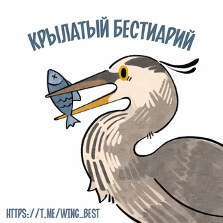 Крылатый бестиарий | помощь домашним и диким птицам