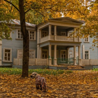 Выносимая тщетность бытия