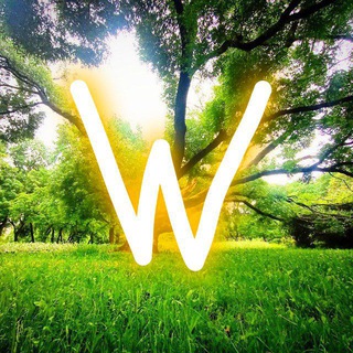 Wnature🌳
