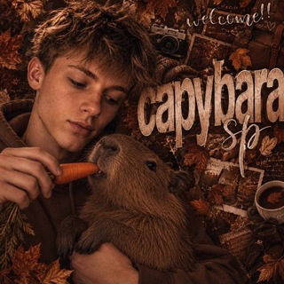 Capybara sp