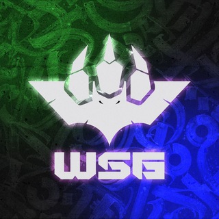 WSG | Wall street gaming | Компьютерный клуб