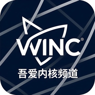 吾爱公益内核主频道（三角洲/和平精英/王者荣耀）
