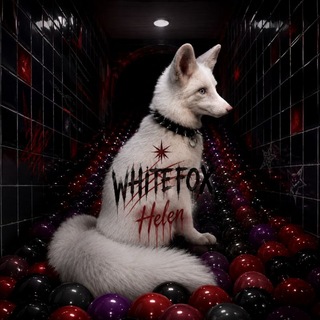white fox˚.🥩 ᵎᵎ