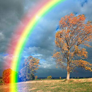 🌈قوس قزح🌈