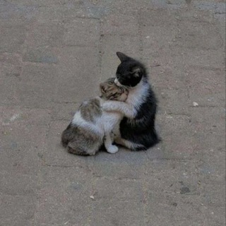 أتقبلنِي بما فيَّ؟