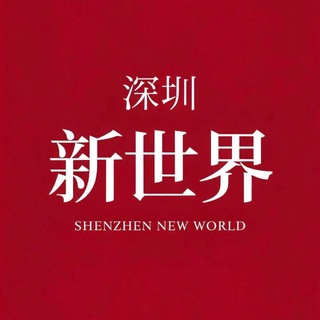 深圳新世界报告（精选报告）