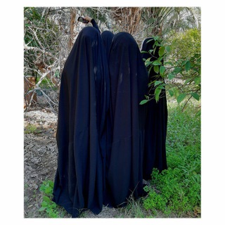 قناة الحسن ع للشاعره ام ليث المالكي