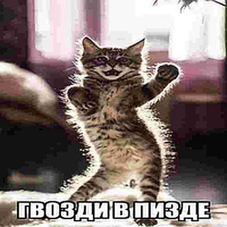 поиск админов халяль 𝗬𝗔𝗡𝗗𝗘𝗥𝗘𝗠𝗘𝗙 ! ! рофл-сеть телеграм каналов