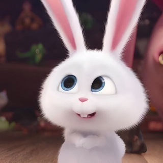 🐰YANIXPPPPPPP🐰