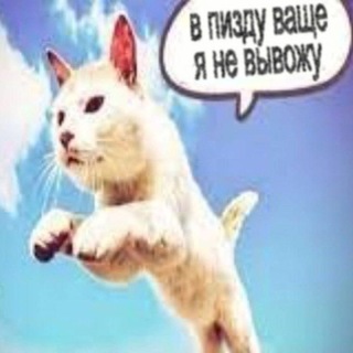 Пизданутое щп админов