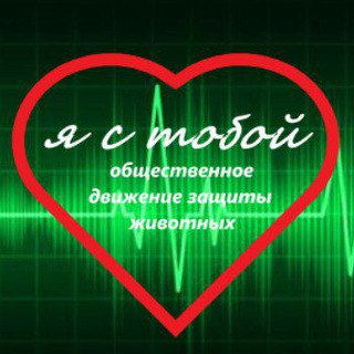 "Я с тобой" общественное движение защиты животных