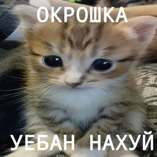 Аватар канала РЕСТ//Окрошка (18+) @yes_prosto16