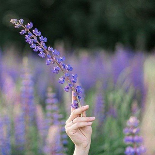 💜𓆩 ثــــاء 𓆪