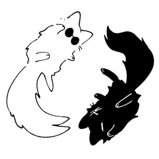 ♪ ♫ 𝙔𝙞𝙣 & 𝙔𝙖𝙣𝙜 ♫ ♪