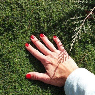 YOLKA GARDEN — Ландшафтный НЕдизайн