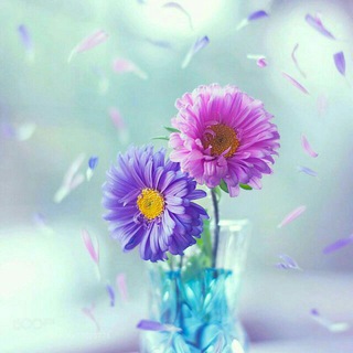 خٰـہٰٖوٰاٰطٰـہٰٖرٰ عٰـہٰٖمٰـہٰٖيٰـہٰٖقٰـہٰٖة🌸✨