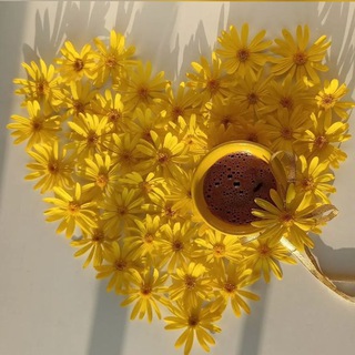 🍃💛heart♡||قلبي||💛