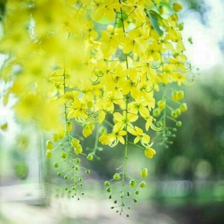 طريقنا إلي الجنه💚🕊
