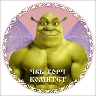 dr.yulsaria dura/чвк торч комитет :D