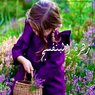 زهـ💜رة البنفـ💜سج