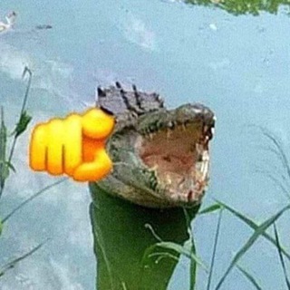 🐊The Crocodile's Lair🐊