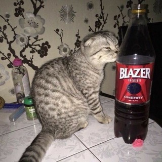 запах прошлого