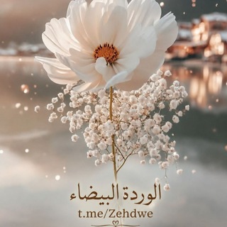 الورډة 𓂆 البيـضـاء 🤍