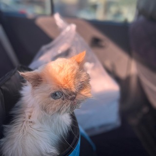 بازم با همیم..💙زهی