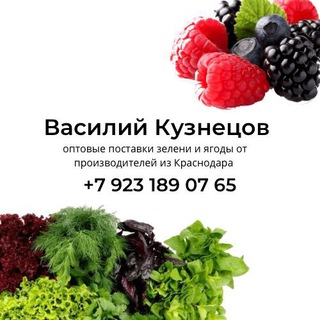 Зелень ОПТ Из Теплицы (Краснодар)