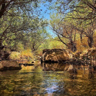 زندگی رویایی