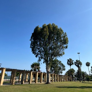 Giardino di Idee