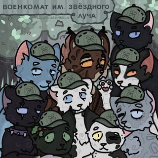🪖😼🌿Кᴏᴛы-Вᴏиᴛᴇᴧи. Вᴏᴇнᴋᴏʍᴀᴛ иʍᴇни Зʙёɜднᴏᴦᴏ Лучᴀ🌿😼🪖