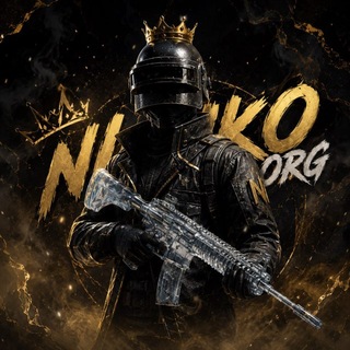 NIko Organisation 🇪🇺