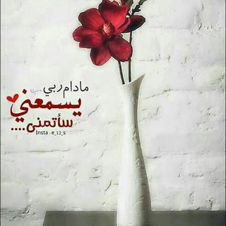 الزَّوًّجَةٍُ َ النَاجَحَةٍُ ❥🌸