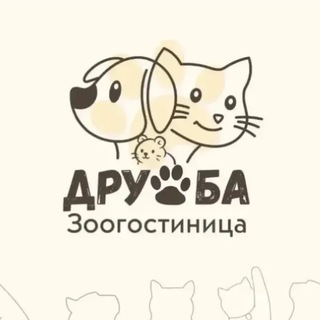 Зоогостиница 🦮 ДРУЖБА 🐈