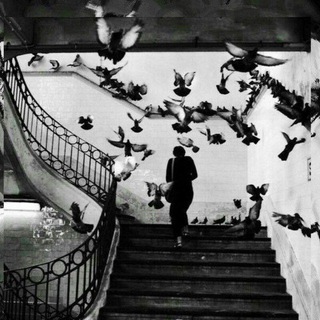هٰہٰٖمہٰسہٰة ﯛججہٰع •😴🖤