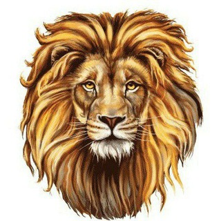 🦁Зоомагазин 8мк🦁