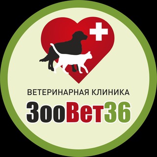 Ветеринарная клиника ЗооВет36