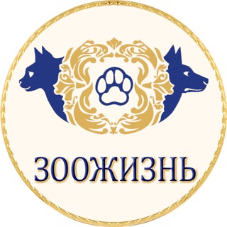 Корма суперпремиум-класса для собак и кошек