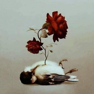 ®© دِمَـــرنِـــيِّ عٌـــــشٍــــگك ®©™