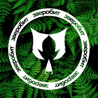 zverobeat