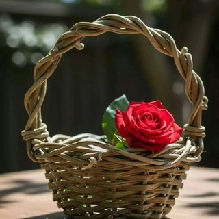 متن واهنگ ♈️