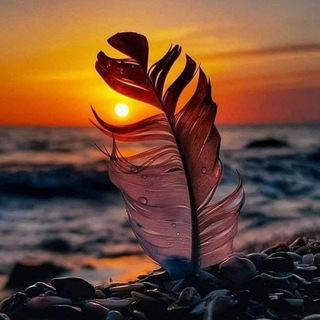 خواطر مبعثرة 💕